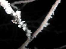 Winterabend / .....