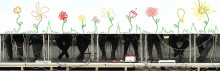 Über Blumen / ***