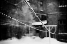 Ohne Titel / ***