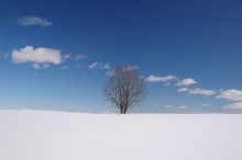 Das Spiel mit Wolken / *******