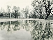 Verzerrung / ***