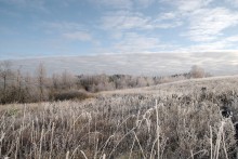 Magical Frost / ***