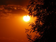 Sonnenuntergang / ***