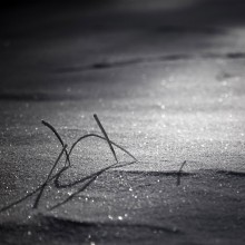 Winter Graphics / ******