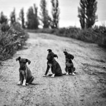 Drifters / http://500px.com/photo/264019
