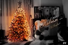 Frohes Neues 2011! / ***