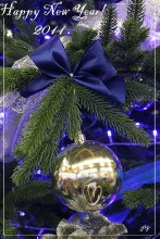 Happy New Year!!! / ***