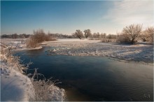 Winter im Wald / ***