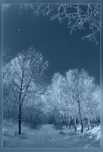 Auf dem Weg zur Schneekönigin / ***
