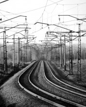 "Netzwerk" / ***