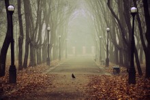 In splendid isolation / http://500px.com/photo/269809 - 500Px