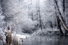 Im Stadtpark / ***