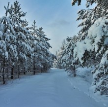 Winter / ***