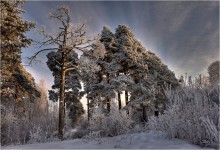 Winter Gleichstellung / *****