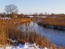 Winter / ***