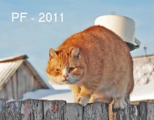 HAPPY NEW YEAR / ***