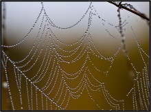 Garland ... / ***