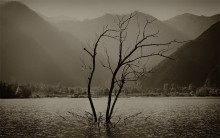Einzelgänger / ************