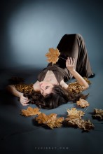 Goldener Herbst / ***