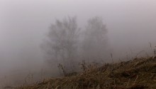Nebel / **********