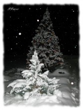 Frohes Neues 2011! / ***