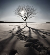... Kalte Sonne ... / ***