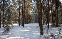 Vyatskie Winter (3) / ***