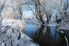 Winter Morgen / ***
