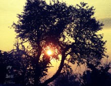 Wintersonne. / ***