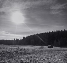 / Platz an der Sonne / / ***