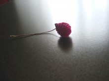 Blume / *****