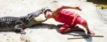 Crocodile Farm / ***