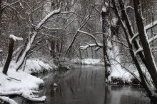 Black and White Winter / ***