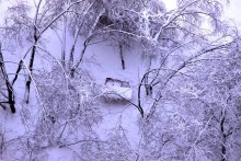 Dann kam der Winter / ***
