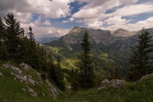 Alpine Schönheit 2. / ***