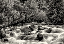 mountain River / _________