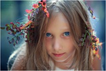 Forest Fairy / ***