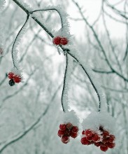Impression... / *****