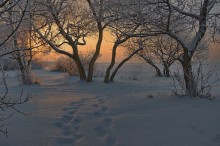 Sounds of Silence ... / .....