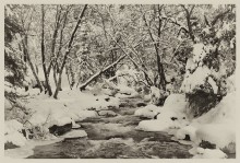 Winter auf dem Fluss / _________