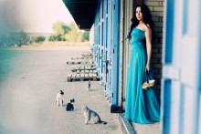 Cat / *****