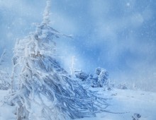 Im Reich der Schneekönigin. / *****