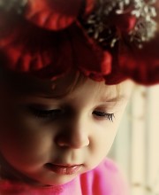meine Blume / ***