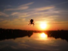 Sonnenuntergang / ***