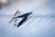 New Year\'s Nocturne / ***
