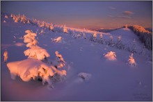 Happy New Year und frohe Weihnachten! / ***