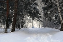 Angekommen / ***