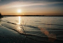 Basierend auf "The Wave" / ***