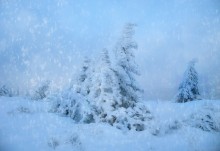 Planet der "Cold" / *******