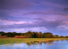 Palette / ***
